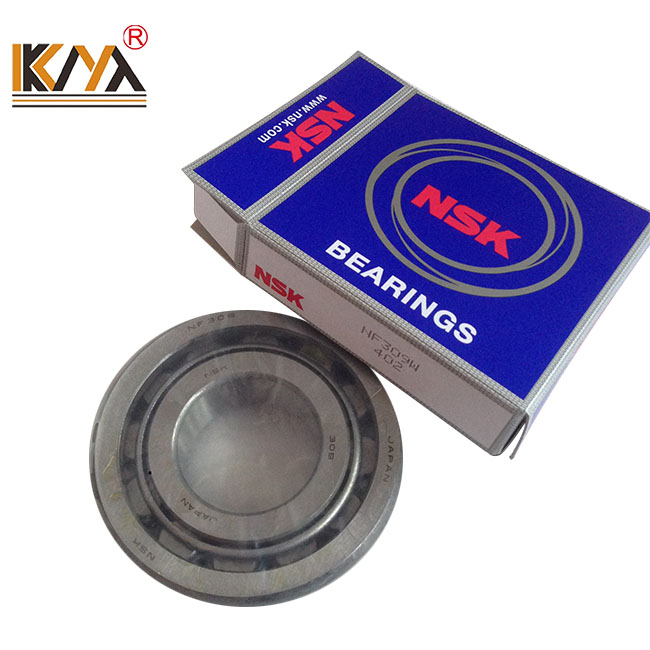 NSK NF309W bearings